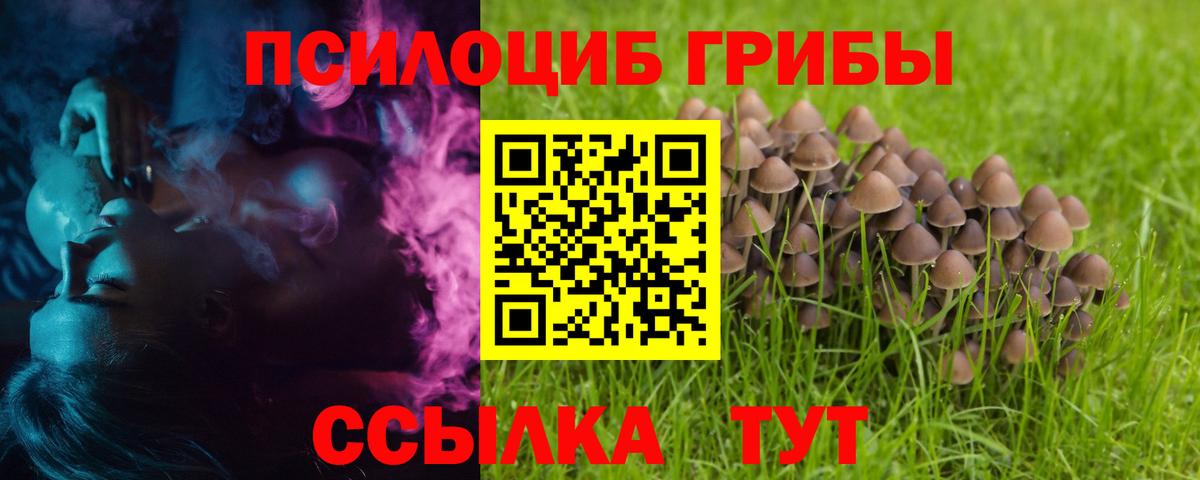 Галлюциногенные грибы Magic Shrooms  Галлюциногенные грибы мухоморы  Вход с VPN  Кунгур 